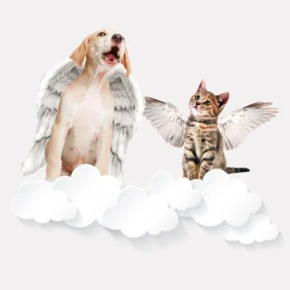 Cadou pentru iubitorii de animale